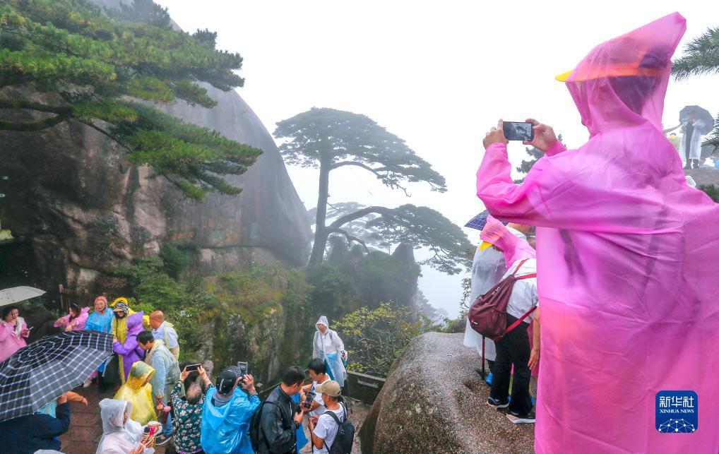 巴黎人网投总站